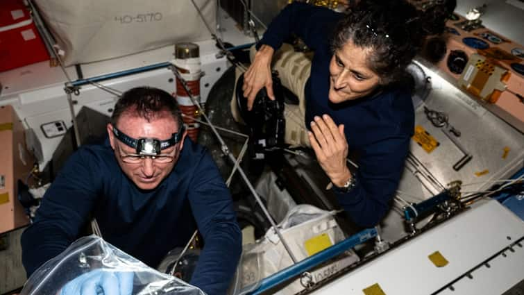 Sunita Williams news how will Suni Williams Butch Wilmore return Boeing Starliner or space dragon nasa answers FAQ When Will Sunita Williams Get Home? Is Starliner Still A Safe Option? NASA Answers FAQ