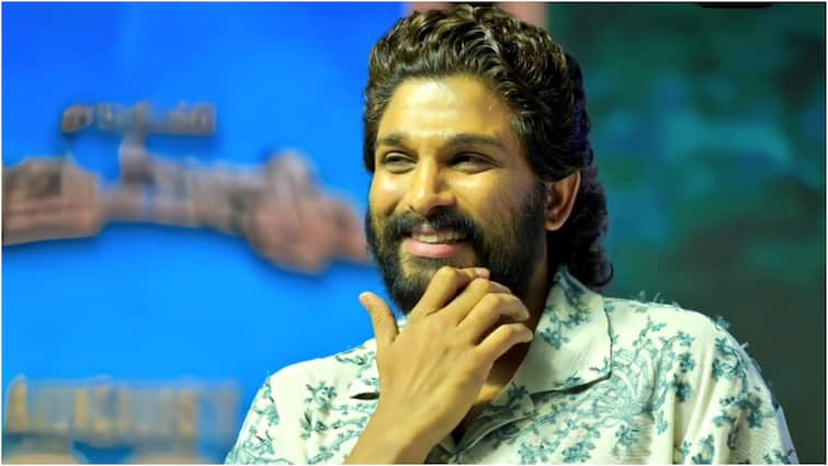 Allu Arjun counter to Pawan Kalyan Fans and Nagababu over YSRCP Nandyal episode Allu Arjun Vs Pawan Kalyan: ఇష్టమైతే, నచ్చితే వెళ్తా... వైసీపీ సపోర్ట్, నంద్యాల ఎపిసోడ్‌పై పవన్, నాగబాబుకు బన్నీ కౌంటర్?