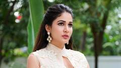 Lavanya Tripathi : మెగా కోడలు లావణ్య త్రిపాఠి లేటెస్ట్ ఫోటోస్.. యువరాణిలా మెరిసిపోతున్న  అందాల రాక్షసి!
