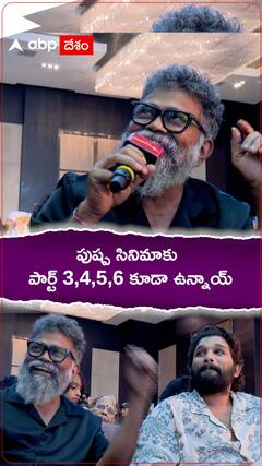 పుష్ప సినిమాకు పార్ట్ 3,4,5,6 కూడా ఉన్నాయ్