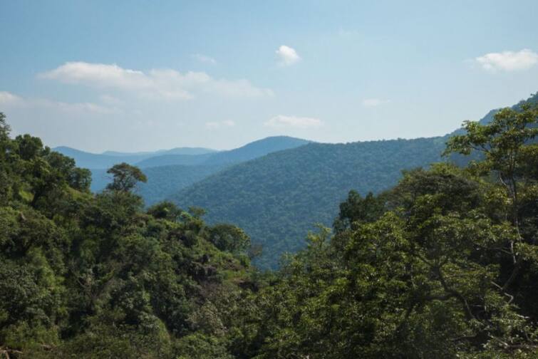 Pachamalai, the 'Empress' of the mountain ranges with its green beauty Trichy பசுமை அழகை தன்னுள் கொண்டுள்ள மலைத்தொடர்களின் ‘மகாராணி’ பச்சமலை