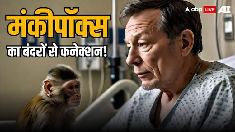 What is the connection between monkeys and monkeypox aka mpox know symptoms treatment total cases all you need to know in hindi मंकीपॉक्स का बंदरों से क्या कनेक्शन? जानें इस बीमारी से जुड़े हर सवाल का जवाब