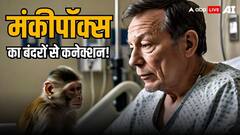 मंकीपॉक्स का बंदरों से क्या कनेक्शन? जानें इस बीमारी से जुड़े हर सवाल का जवाब