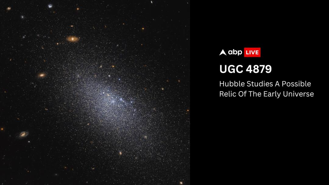 Is That A Relic? NASA Hubble Examines An Isolated Dwarf Galaxy For Clues To Evolution Of Universe Is That A Relic? NASA Hubble Examines An Isolated Dwarf Galaxy For Clues To Evolution Of Universe