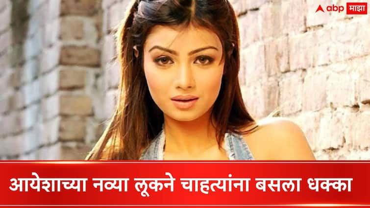 actress ayesha takia trolled for new look user says she loose her natural beauty some users says she is kylie jenner Ayesha Takia Trolled : काय होतीस तू अन् काय झालीस? अभिनेत्रीच्या नव्या लूकने चाहत्यांना बसला धक्का