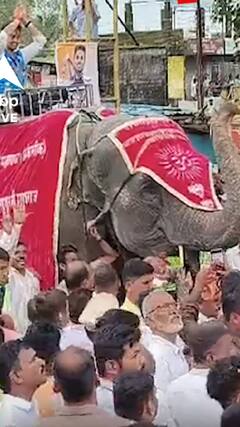 ओलंपिक चैंपियन का लोगों ने हाथी पर बैठाकर किया स्वागत | ABP NEWS SHORTS