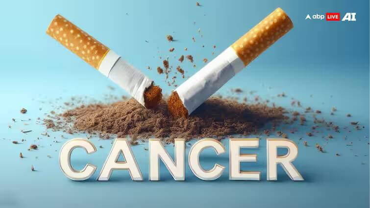 does-nicotine-cause-cancer-discover-the-foods-that-contain-it Health Tips: શું નિકોટીનથી કેન્સર થાય છે? જાણો ખાવાની કઈ કઈ વસ્તુઓમાં હોય છે નિકોટીન