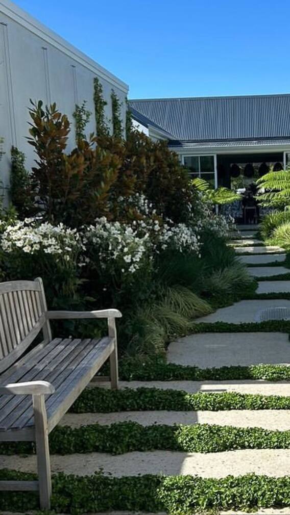 Top 10 Easy Growing And Beautiful Flowering Climbers For Fences