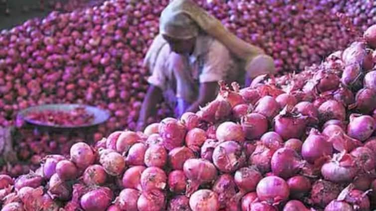 Onion Market Central government move to introduce buffer stock onion in the market opposition from farmers organizations Nashik Maharashtra Marathi News Onion Market : शेतकऱ्याच्या ताटात माती कालवण्याचा प्रकार! 'बफर स्टॉक'चा कांदा बाजारात आणण्याच्या हालचाली, शेतकरी संघटनांचा तीव्र विरोध