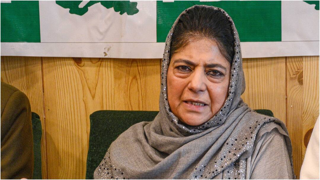 mehbooba mufti PDP on alliance with congresss in jammu kashmir Assembly Election 2024 Jammu Kashmir: 'राहुल गांधी प्रभावशाली आवाज बनकर...', PDP ने कांग्रेस के साथ गठबंधन का खुला रखा विकल्प!
