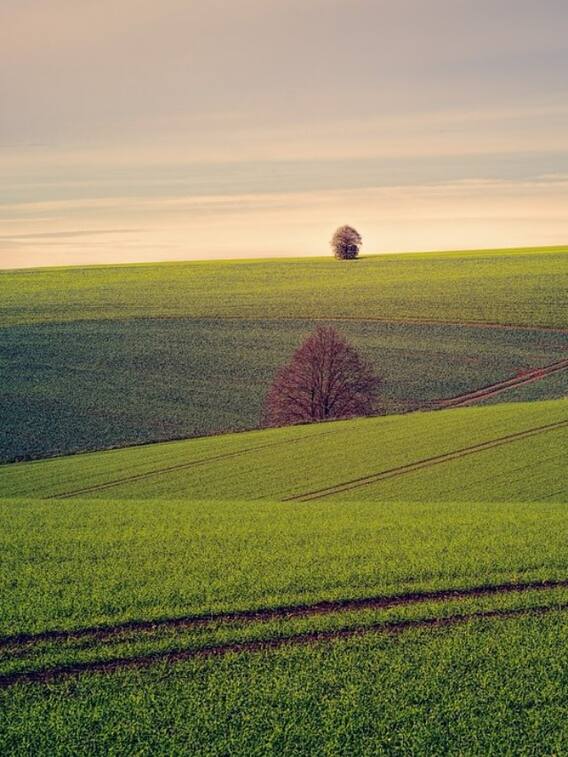 बिहार में कैसे किया जा रहा है लैंड सर्वे?