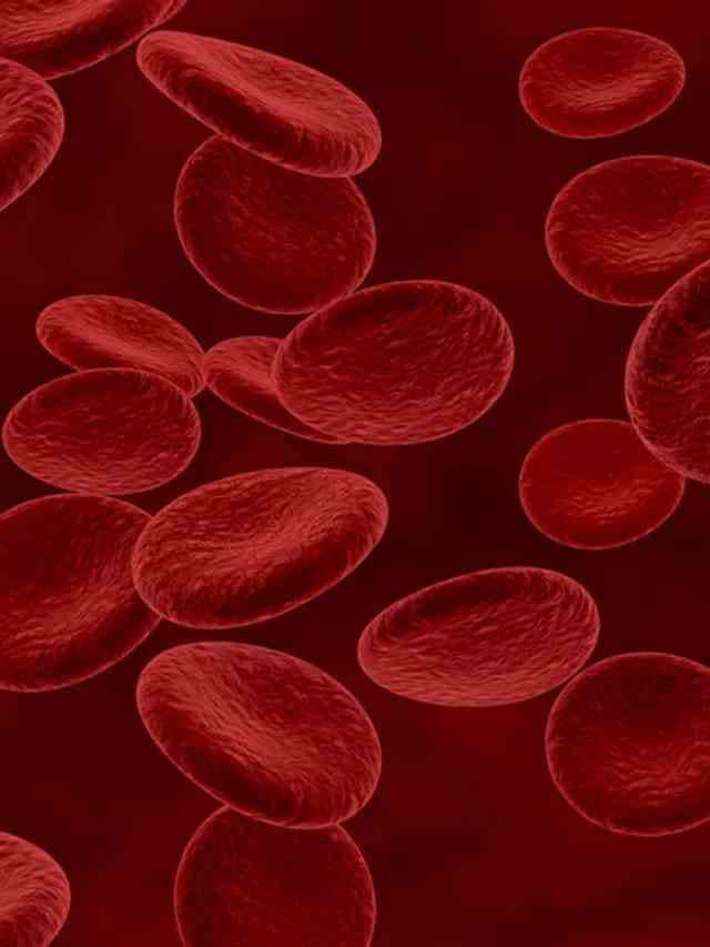 early detection means a good prognosis when it comes to blood cancers Blood Cancer: ਰਾਤ ਨੂੰ ਵਾਰ-ਵਾਰ ਬੁਖਾਰ ਦੇ ਨਾਲ ਪਸੀਨਾ ਆਉਣਾ ਬਲੱਡ ਕੈਂਸਰ ਦੇ ਹੋ ਸਕਦੇ ਹਨ ਸ਼ੁਰੂਆਤੀ ਲੱਛਣ