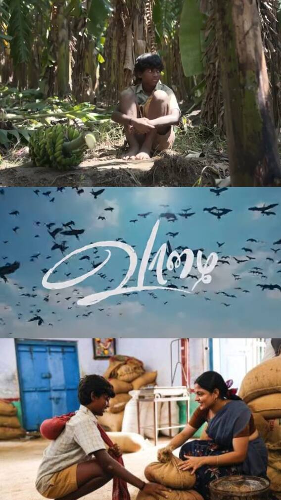 செழிப்பாக தழைத்த வாழை.. படம் டக்கரா இருக்கு!