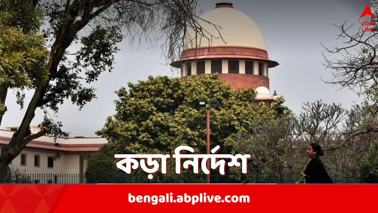 RG Kar Supreme Court Hearing social media for arguments should not be taken up says CJI DY Chandrachud Chief Justice of India RG Kar Supreme Court Hearing: সোশ্যাল মিডিয়ায় দেহরস নিয়ে ভুয়ো তত্ত্ব, কড়া নির্দেশ সুপ্রিম কোর্টের