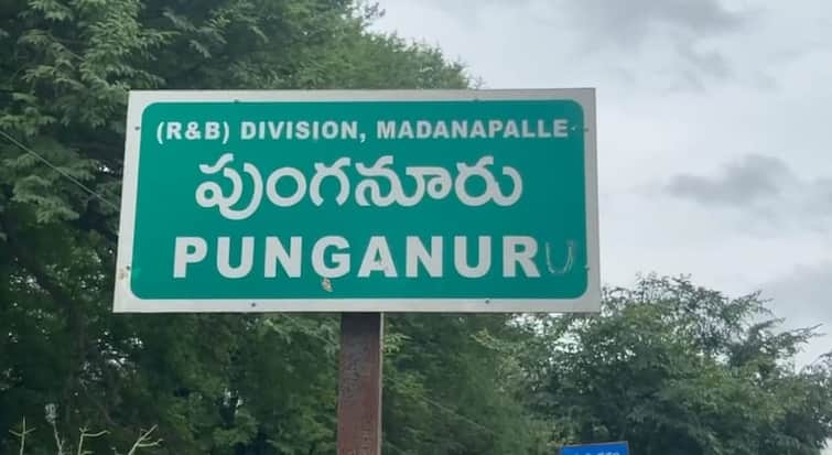 vigilance primary report ready on punganoor forest land issue has peddireddy ramchandra reddy grabbed the land Andhra Pradesh: పుంగనూర్ భూమి వివాదంపై  ప్రాథమిక నివేదిక సిద్ధం- తర్వాత ఏంటీ?