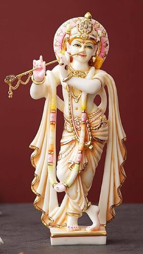 जन्माष्टमीला घरी आणा 'या' गोष्टी, होईल धनाची भरभराट!