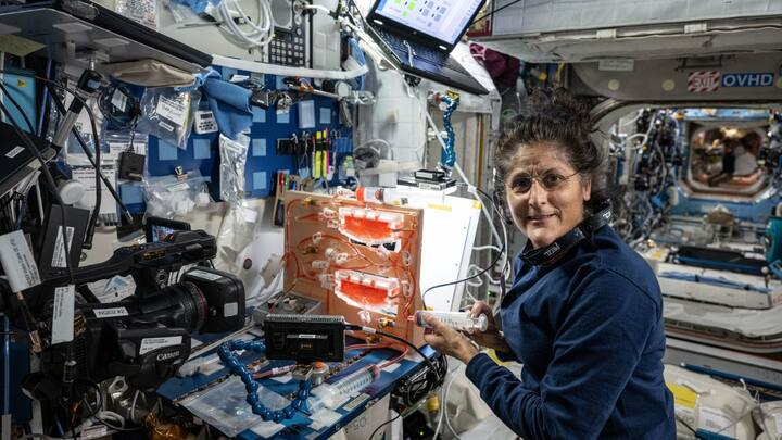 Sunita Williams investigates using fluid physics techniques such as surface tension, as well as hydroponics and air circulation, to overcome the lack of gravity when watering and nourishing plants grown in space | Photo: NASA