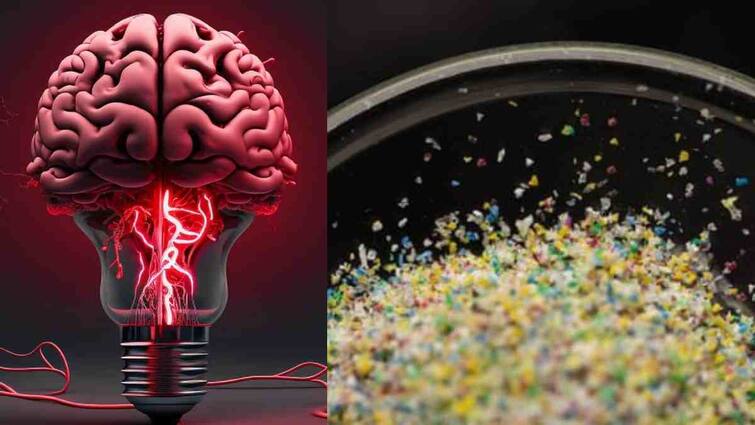 Microplastics Found in Human Brains Microplastics: ఓ మై గాడ్.. మెదడులోకి చొచ్చుకెళ్తోన్న ప్లాస్టిక్ - గ్లోబల్ ఎమర్జెన్సీ విధించాల్సిందేనట!