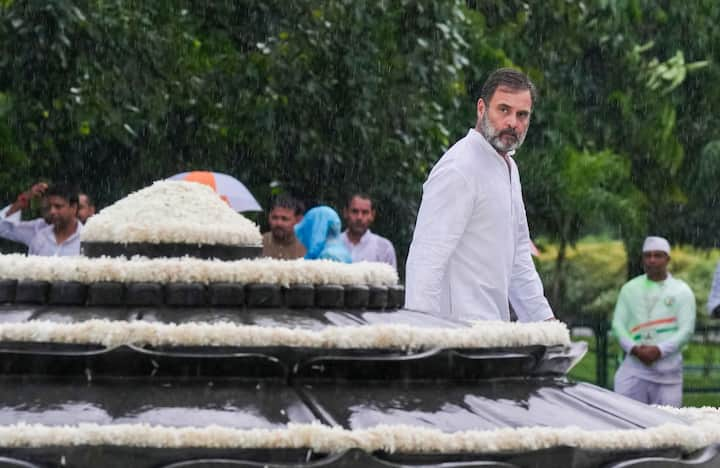 जिन कारणों से राहुल गांधी की छवि बदली है, उनमें टुकड़ों में कांग्रेस की भारत जोड़ो न्याय यात्रा, बार-बार बड़े नामों को निजीकरण, जमीन से जुड़े विश्वास और लोकतंत्र में नामांकन के नेता के रूप में फ्रैंक बातें रखना आदि शामिल हैं।