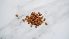 बादाम खाने से क्या सच में तेज होता है दिमाग? एक्सपर्ट ने बताया इसके पीछे का साइंस