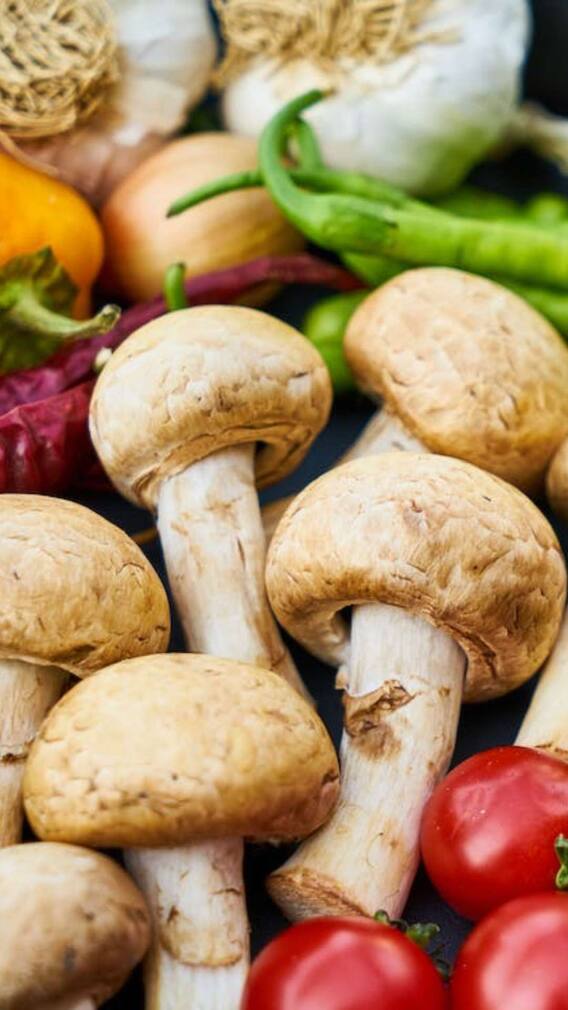 పాలిచ్చే తల్లులు పుట్టగొడుగులు తినొచ్చా?