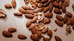 बादाम खाने से क्या सच में तेज होता है दिमाग? एक्सपर्ट ने बताया इसके पीछे का साइंस