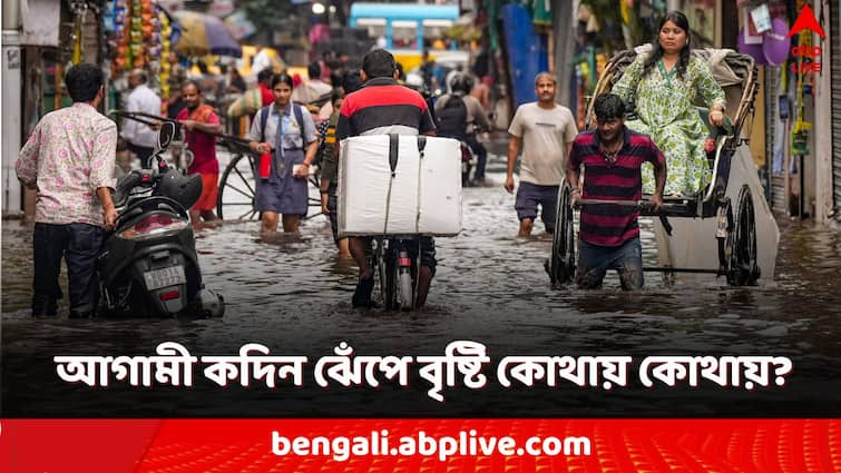 west Bengal weather update 24 august and next week rain prediction north Bengal south Bengal West Bengal Weather Update: আগামী সপ্তাহজুড়ে বৃষ্টি বাংলার কোন কোন জেলায়? শনি-রবি কেমন কাটবে?