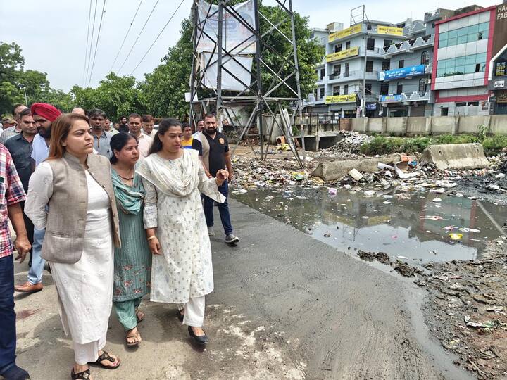उन्होंने कहा कि, कूड़ा दो-तीन किलोमीटर तक यह कूड़ा मुख्य सड़क पर फैल गया है, जिसके कारण यातायात में भी असुविधा हो रही. मेयर ने उपयुक्त को तत्काल नोटिस जारी करने के निर्देश दिए.