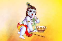 Janmashtami 2024 : यंदा कृष्ण जन्माष्टमीला घरी आणा 'या' खास वस्तू; ग्रहांचा दोष होईल कमी, संपत्तीत होईल भरभराट