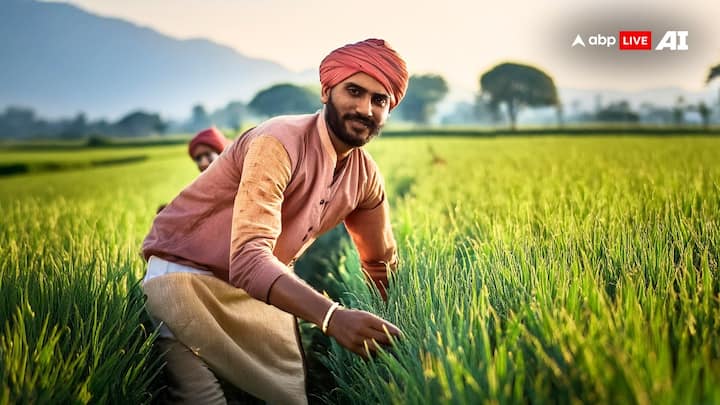 गुजरात सरकार की तरफ से भारी बारिश से प्रभावित किसान भाइयो के लिए करोड़ों रुपये के राहत पैकेज का एलान किया गया है.