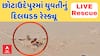 Chhota udepur girl rescue  | છોટાઉદેપુરમાં યુવતીનું દિલધડક રેસ્ક્યૂ | Watch LIVE Rescue