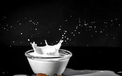 ਕਿਹੜੇ ਜਾਨਵਰ ਦਾ ਦੁੱਧ ਹੁੰਦਾ ਸਭ ਤੋਂ ਵੱਧ ਫਾਇਦੇਮੰਦ ? ਸਰੀਰ ਦੇ ਨੇੜੇ-ਤੇੜੇ ਨਹੀਂ ਆਉਂਦੀਆਂ ਬਿਮਾਰੀਆਂ !