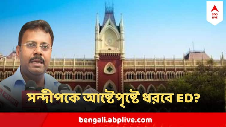 RG Kar Protest ED Investigation Deamand Against Sandip Ghosh Court Hearing Today Sandip Ghosh RG Kar Protest : এবার সন্দীপ ঘোষকে আষ্টেপৃষ্টে ধরবে ইডি? বড় খবর আজই