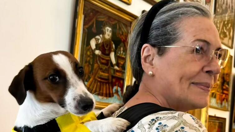 Sonia Gandhi with pet dog noorie congress rahul gandhi posted on Instagram 'नूरी' संग खास अंदाज में नजर आईं सोनिया गांधी, राहुल गांधी ने शेयर की तस्वीर