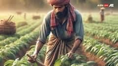 इस राज्य की सरकार ने बारिश से प्रभावित किसानों के लिए किया 350 करोड़ रुपये के पैकेज का एलान