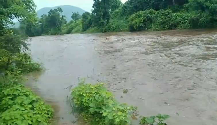 Heavy Rain started in Amreli District  Amreli Rain:અમરેલી જિલ્લામાં જામ્યો વરસાદી માહોલ, બગસરા, ધારી અને ખાંભા પંથકમાં વરસાદ