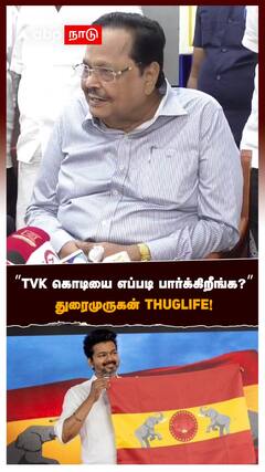 ”TVK கொடியை எப்படி பார்க்கிறீங்க?