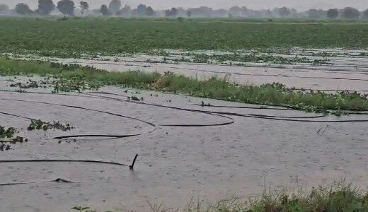 Aravalli Rain: મોડાસા તાલુકામાં આભ ફાટ્યું, એક કલાકમાં ચાર ઈંચ વરસાદથી જળબંબાકાર