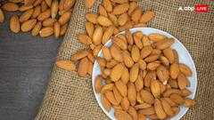 बादाम खाने से क्या सच में तेज होता है दिमाग? एक्सपर्ट ने बताया इसके पीछे का साइंस