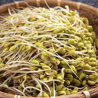 Soybean Benefits: ਮਾਸ ਨਹੀਂ ਖਾਂਦੇ ਤਾਂ ਤੁਹਾਡੇ ਲਈ ਮਿਲ ਗਿਆ ਤਾਕਤ ਦਾ ਖ਼ਜਾਨਾ, ਅੱਜ ਹੀ ਆਪਣੀ ਡਾਈਟ ਚ ਕਰੋ ਸ਼ਾਮਲ