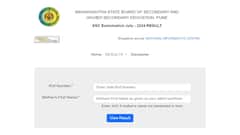 Maharashtra SSC, HSC Supplementary Result 2024 Declared On mahresult.nic.in, Check Direct Links