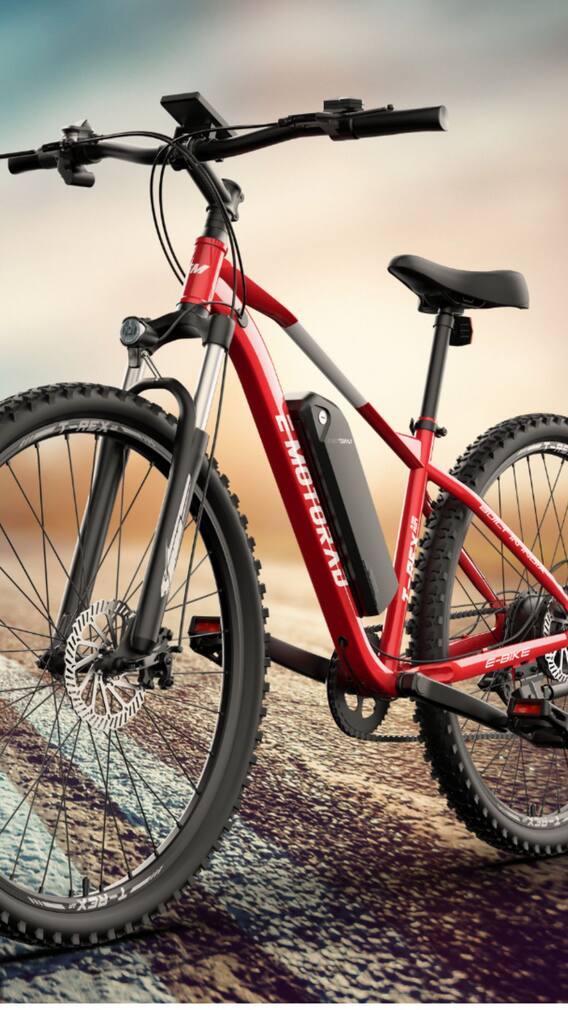 এক চার্জেই ৫০ কিমি ছুটবে এই ই-সাইকেল, দামেও সস্তা