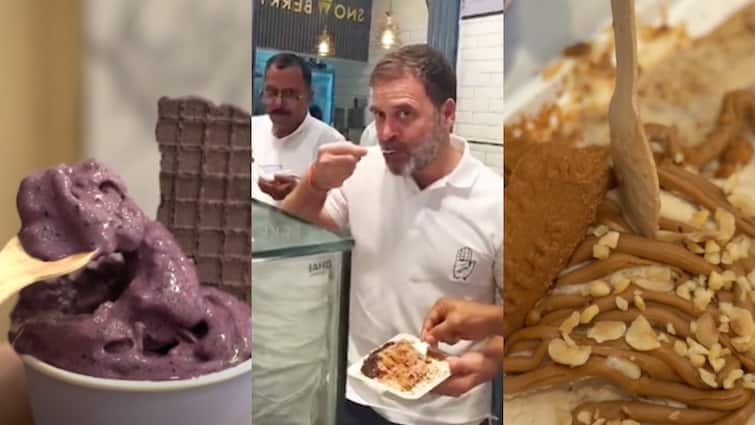 Delhi best ice cream shop Snowberry may be better option Rahul Gandhi also like it अगर आप भी हैं आइसक्रीम के शौकीन तो दिल्ली का 'Snowberry' हो सकता है बेहतर ऑप्शन, राहुल गांधी भी हैं फैन