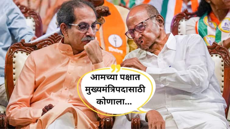 Maharashtra Vidhan Sabha Election Maha vikas Aghadi CM Face Sharad Pawar reaction Maharashtra Marathi News Maharashtra Vidhan Sabha Election : मुख्यमंत्रिपदाच्या चेहऱ्यासाठी उद्धव ठाकरेंचा आग्रह; शरद पवार म्हणाले आमच्या पक्षात कोणाला...