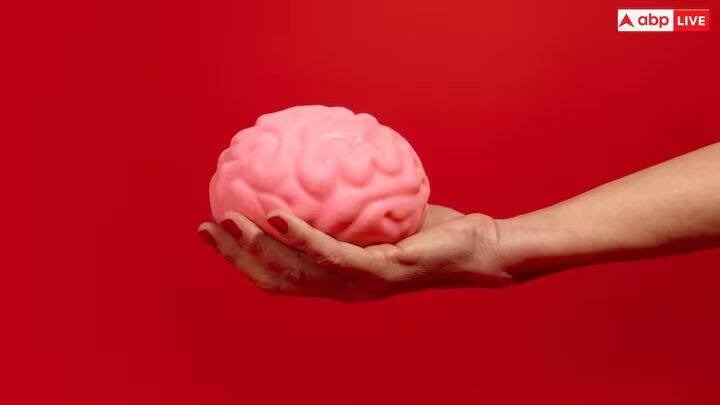 પ્લાસ્ટિકના નાના કણો મગજ પર ખૂબ જ ખરાબ અસર કરે છે. ડેડ બોડીના ટેસ્ટમાં જાણવા મળ્યું છે કે કિડની અને લીવરની સરખામણીમાં મગજમાં વધુ પ્લાસ્ટિક જમા થયું છે.