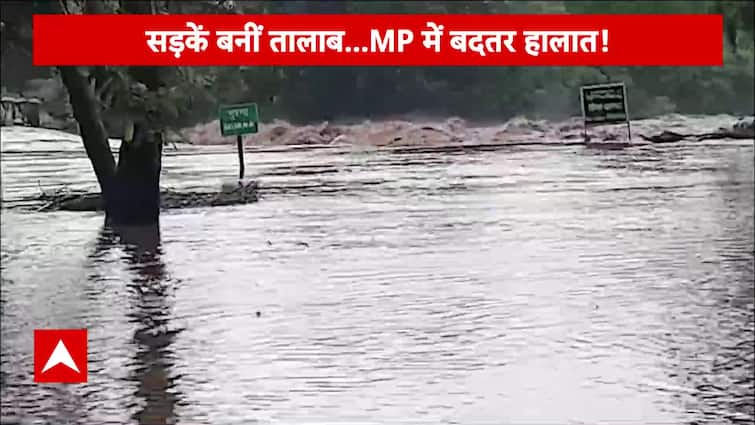 Roads Turn Into Rivers After Heavy Rainfall in Madhya Pradesh, Widespread Waterlogging Reported