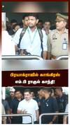 பிரயாக்ராஜில் காங்கிரஸ் எம் பி ராகுல் காந்தி!