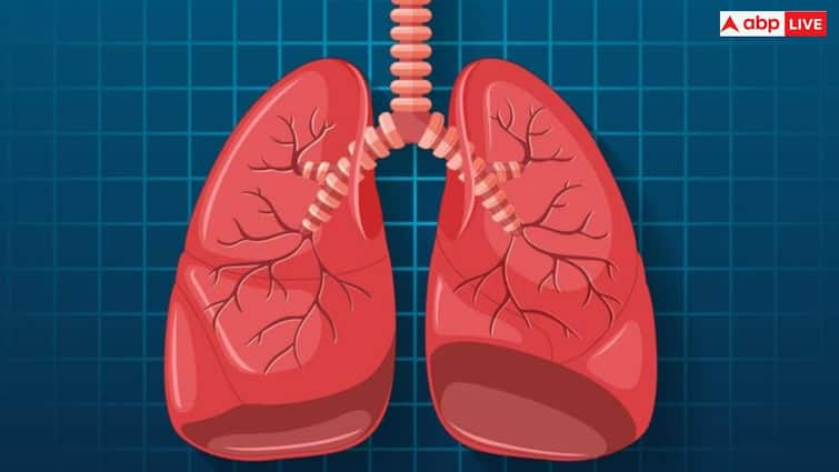 How do you know your lungs are healthy read full article in hindi Lungs Function: आपके फेफड़े ठीक काम कर रहे हैं या नहीं, ऐसे चुटकी में करें टेस्ट