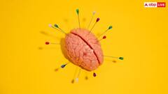 खाने के जरिए लिवर-किडनी से कई गुना ज्यादा ब्रेन में जमा हो रही है माइक्रोप्लास्टिक, रिसर्च में हुआ बड़ा खुलासा