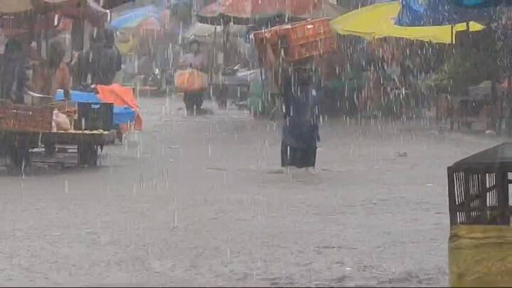 यामुळे शेतीसाठी आवश्यक असलेला पाऊस पडल्याने शेतकऱ्यांनाही मोठा आनंद झाला आहे.